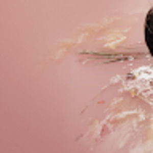 Meet your Posher, Rin